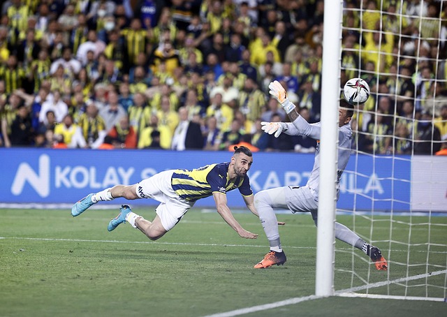 他自然成为 他自然成为