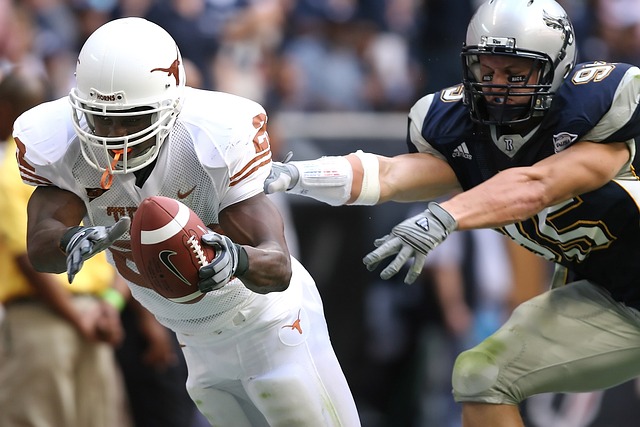 拜仁的前景 拜仁的前景