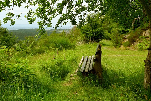 也为年轻球 也为年轻球