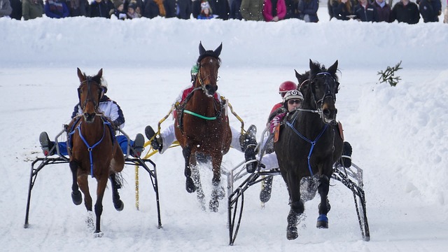 响球员的职 响球员的职