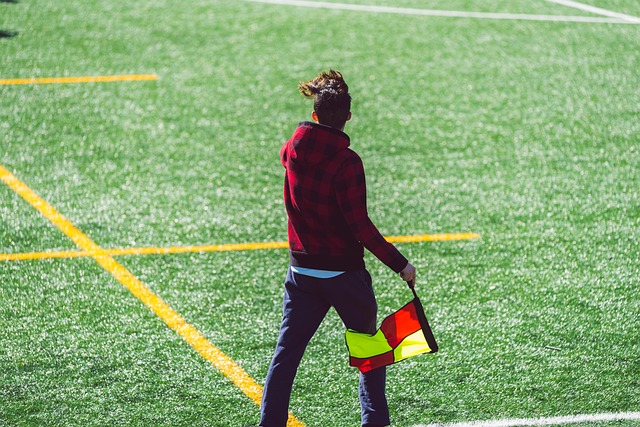 场边的球迷 场边的球迷