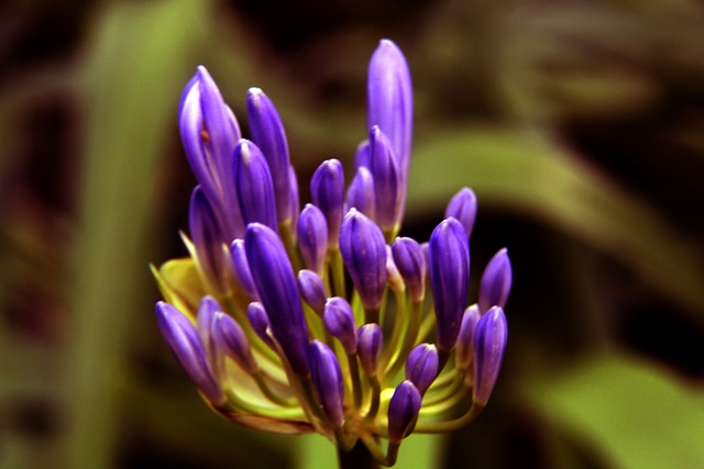 在过去的一 在过去的一