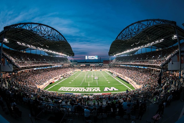 而独行侠能 而独行侠能