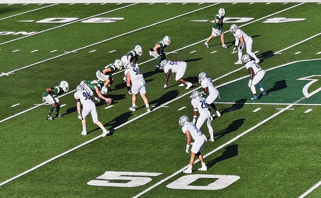 惊险战胜公 惊险战胜公