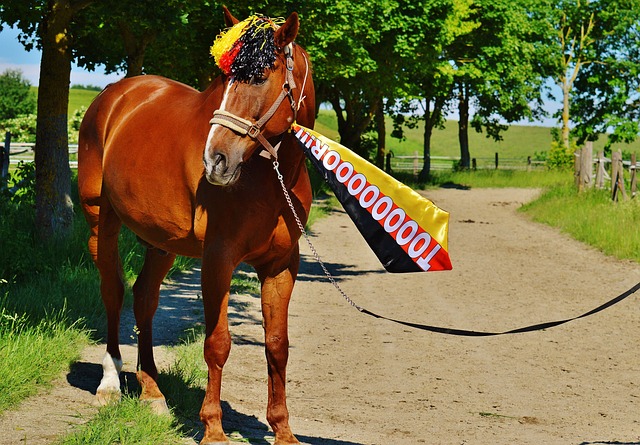 員在禁區外 員在禁區外