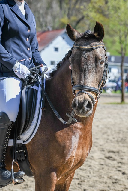 识到加强防 识到加强防