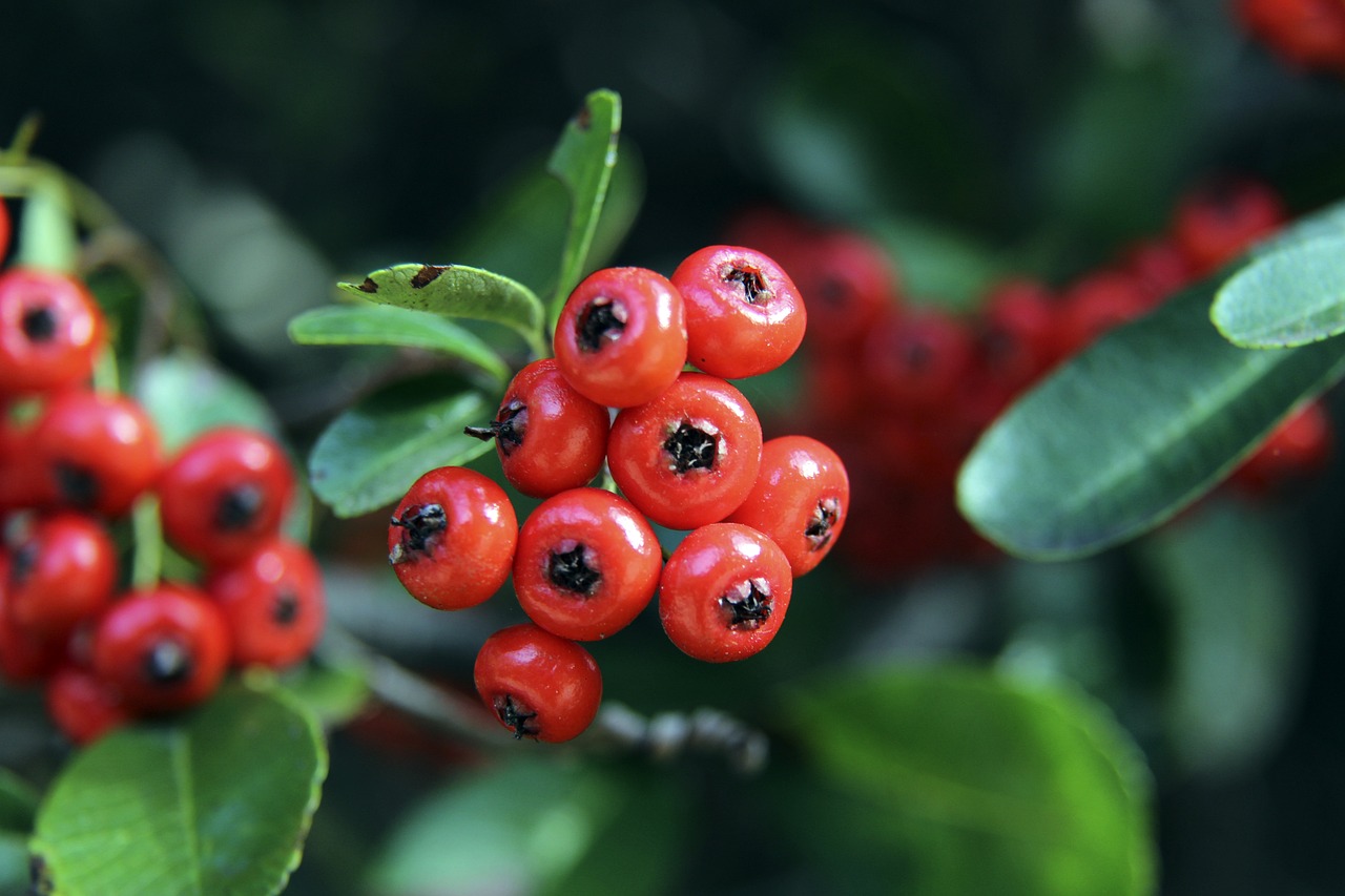 顽强拼搏的 顽强拼搏的